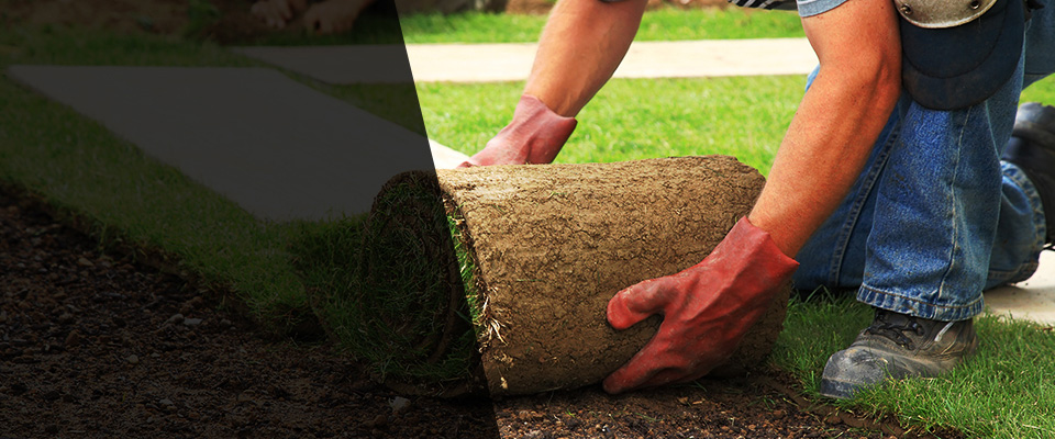 Marine On Saint Croix Landscapers